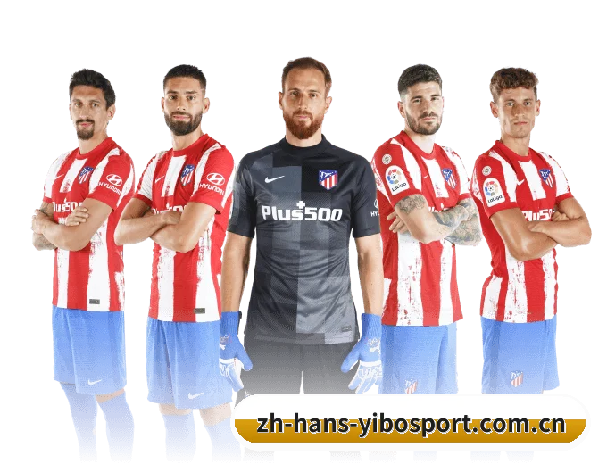 亿博体育 APP 深度功能